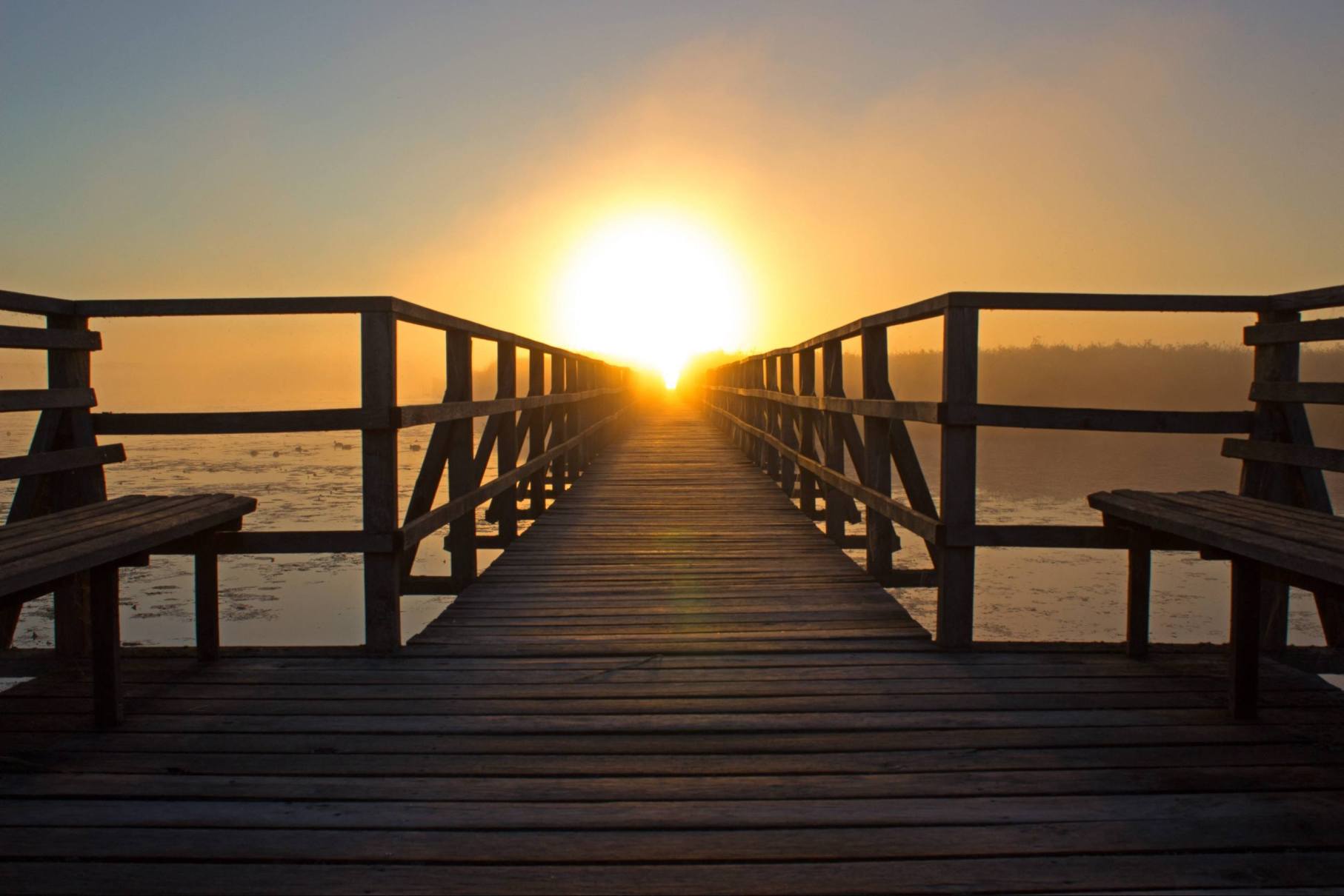Dock